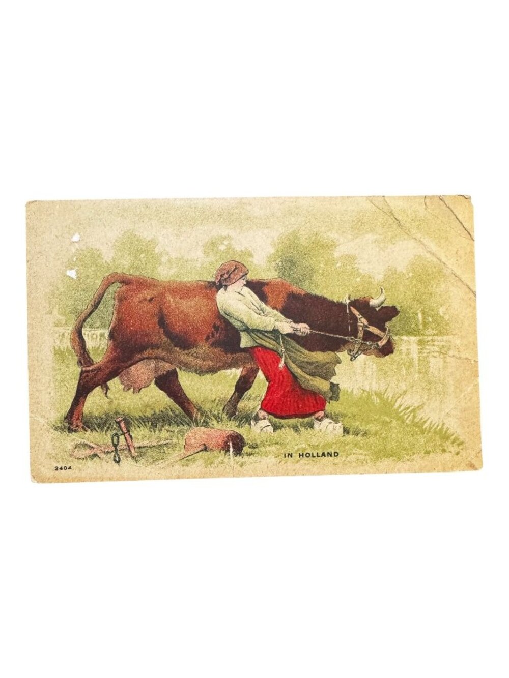 Vintage 1910 Postcard In Holland Woman Pulling Cow Humorous Scene Posted 1916